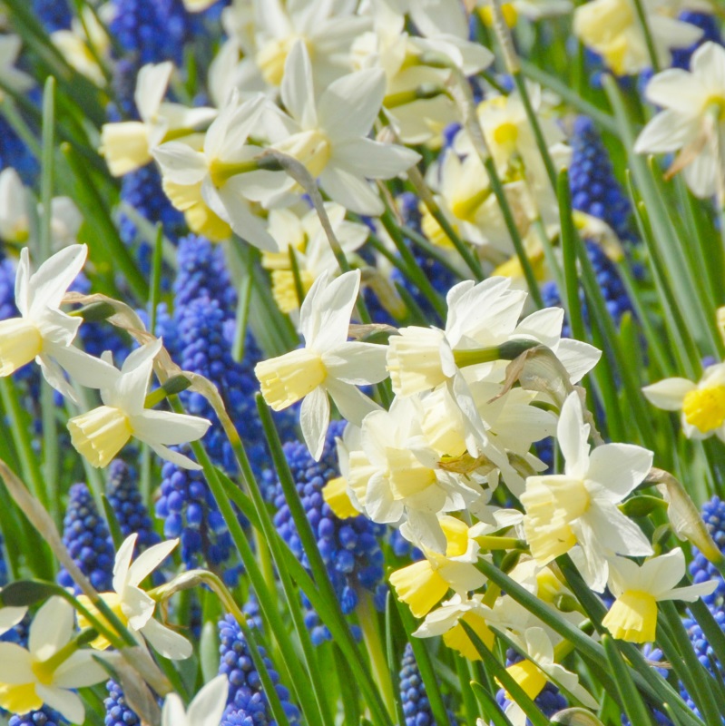 Mixture Cool Waters , à 100